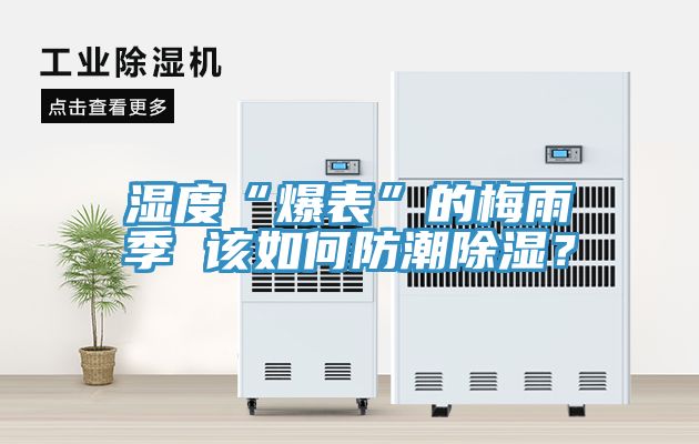 湿度“爆表”的梅雨季 该如何防潮除湿？