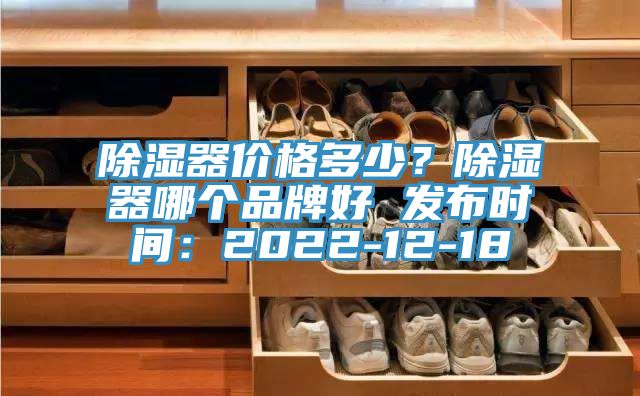 除湿器价格多少？除湿器哪个品牌好 发布时间：2022-12-18