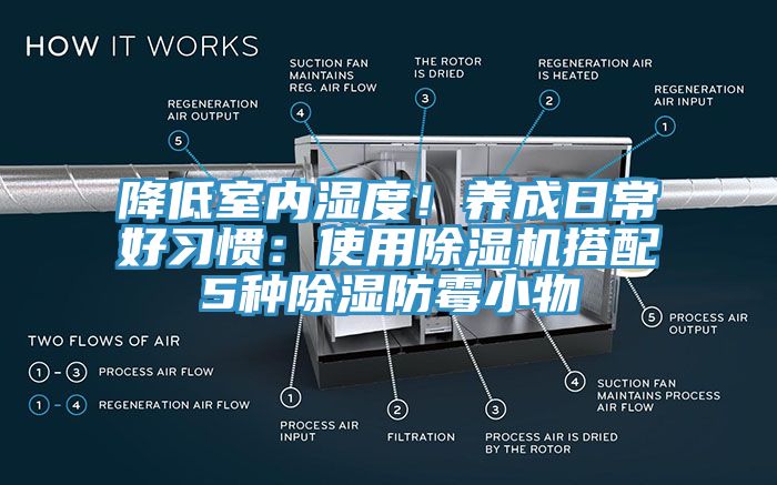 降低室内湿度！养成日常好习惯：使用MR.好色破解版搭配5种除湿防霉小物