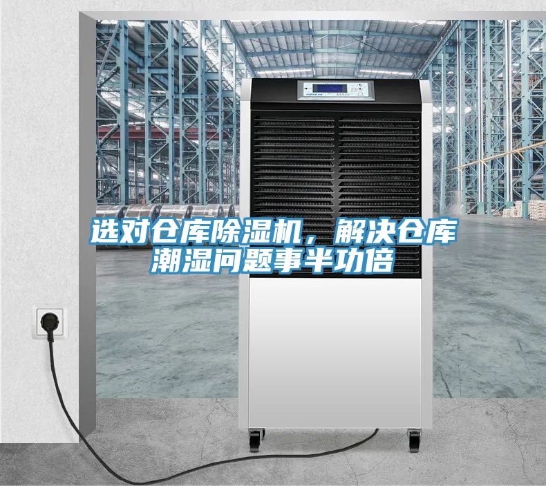 选对仓库MR.好色破解版，解决仓库潮湿问题事半功倍