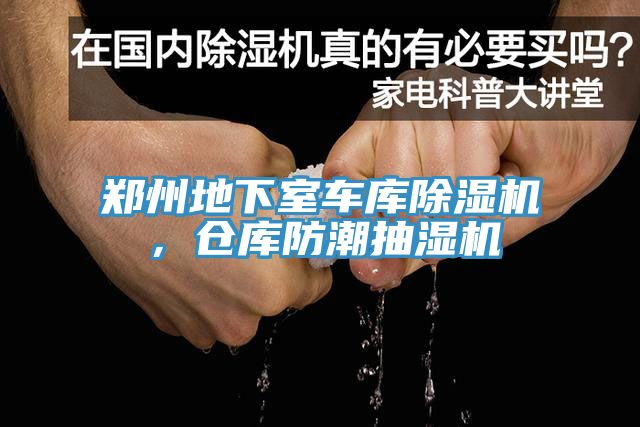 郑州地下室车库MR.好色破解版，仓库防潮抽湿机
