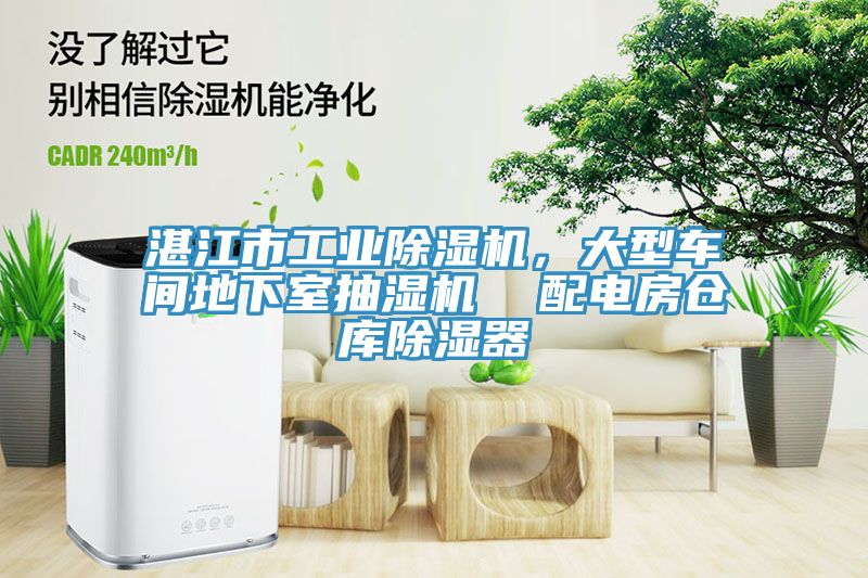 湛江市工业MR.好色破解版，大型车间地下室抽湿机  配电房仓库除湿器