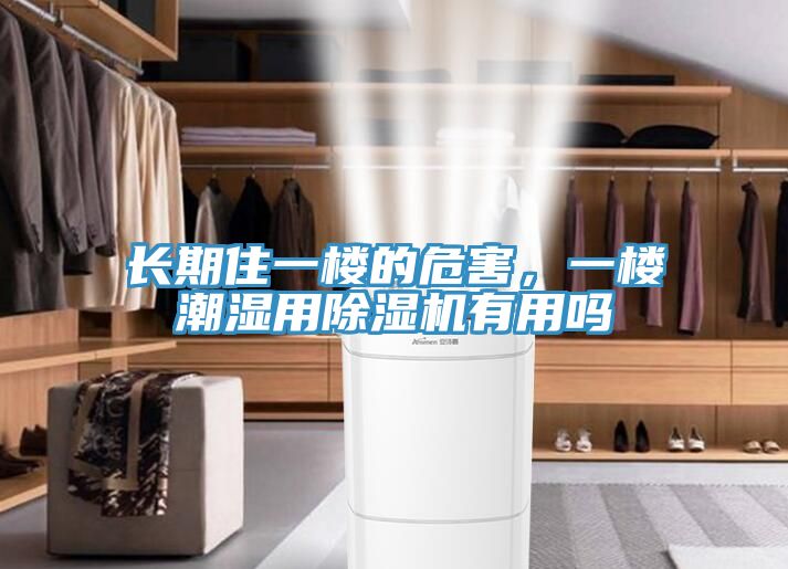 长期住一楼的危害，一楼潮湿用MR.好色破解版有用吗
