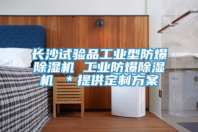 长沙试验品工业型防爆MR.好色破解版 工业防爆MR.好色破解版 ＊提供定制方案