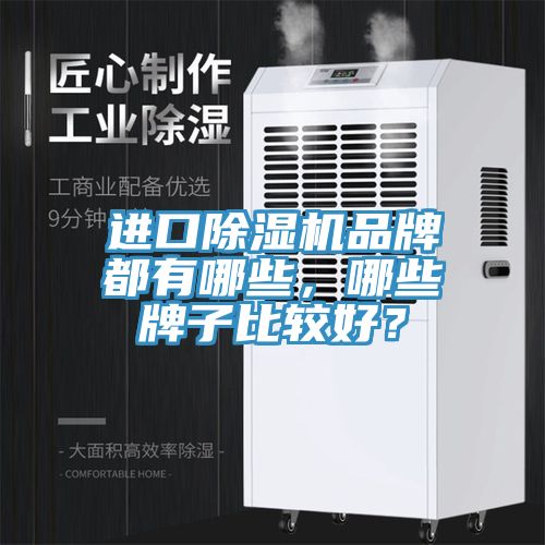 进口MR.好色破解版品牌都有哪些，哪些牌子比较好？