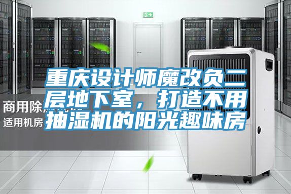 重庆设计师魔改负二层地下室，打造不用抽湿机的阳光趣味房