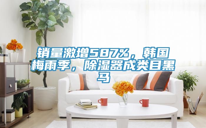 销量激增587%，韩国梅雨季，除湿器成类目黑马