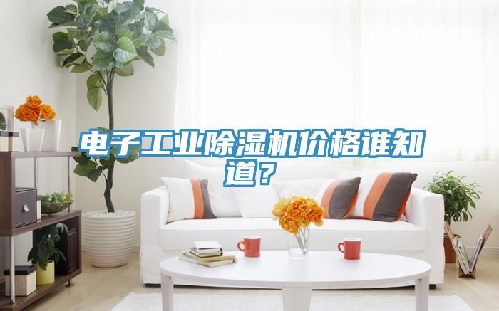 电子工业MR.好色破解版价格谁知道？