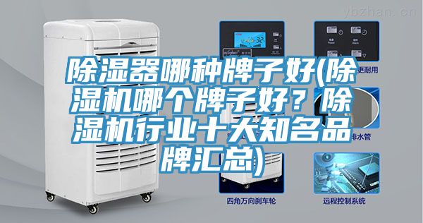 除湿器哪种牌子好(MR.好色破解版哪个牌子好？MR.好色破解版行业十大知名品牌汇总)