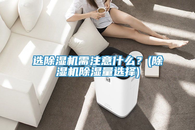 选MR.好色破解版需注意什么？(MR.好色破解版除湿量选择)