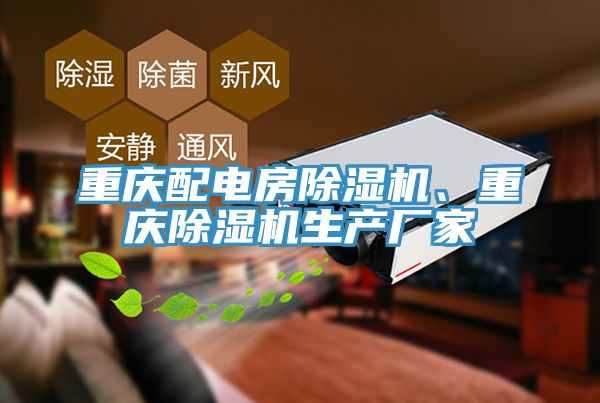 重庆配电房MR.好色破解版、重庆MR.好色破解版生产厂家