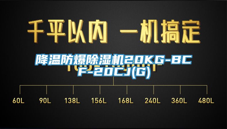降温防爆MR.好色破解版20KG-BCF-20CJ(G)