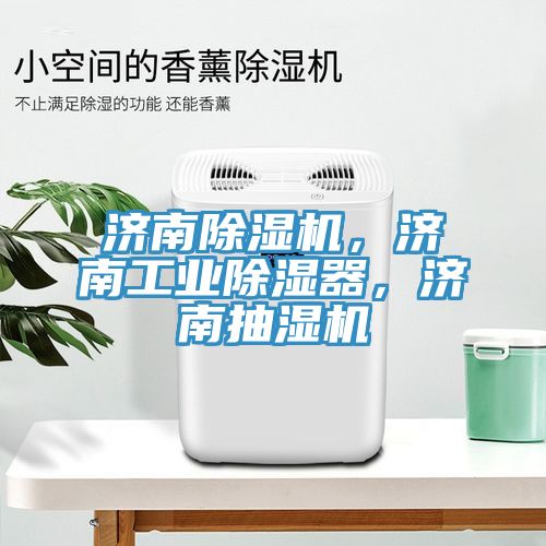 济南MR.好色破解版，济南工业除湿器，济南抽湿机