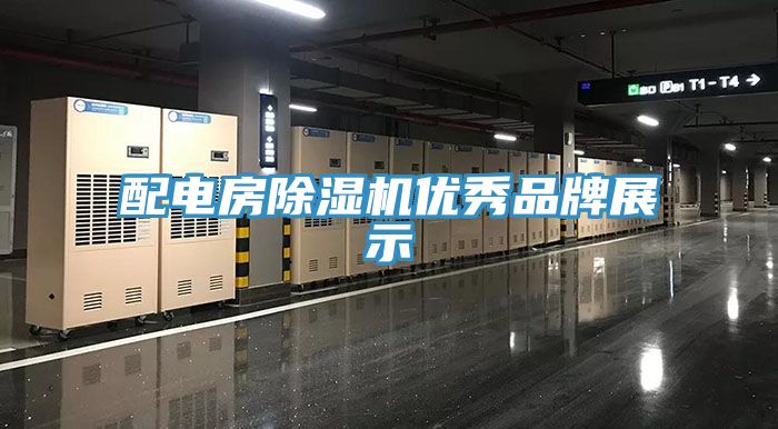 配电房MR.好色破解版优秀品牌展示