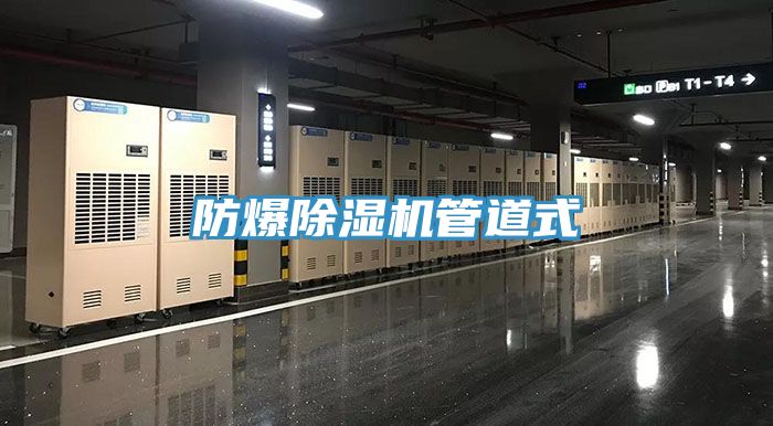 防爆MR.好色破解版管道式