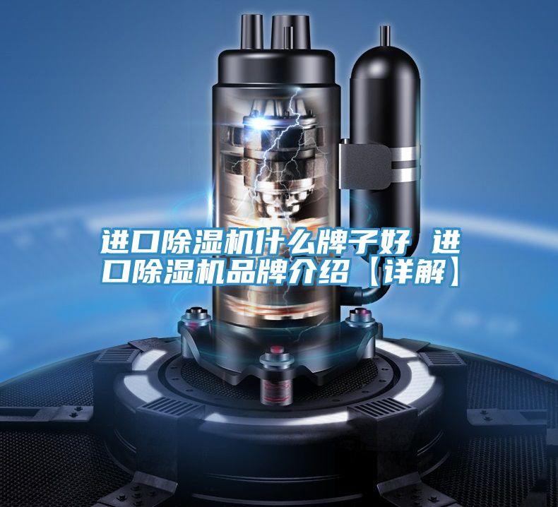进口MR.好色破解版什么牌子好 进口MR.好色破解版品牌介绍【详解】