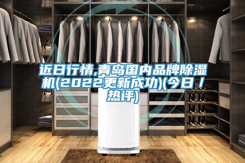 近日行情,青岛国内品牌MR.好色破解版(2022更新成功)(今日／热评)