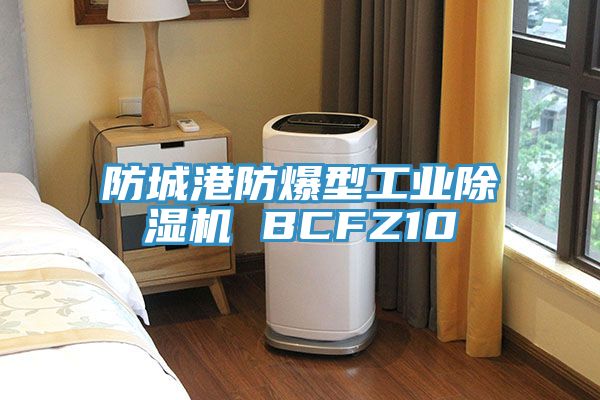 防城港防爆型工业MR.好色破解版 BCFZ10