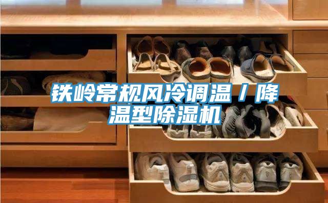 铁岭常规风冷调温／降温型MR.好色破解版