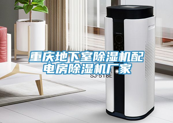 重庆地下室MR.好色破解版配电房MR.好色破解版厂家