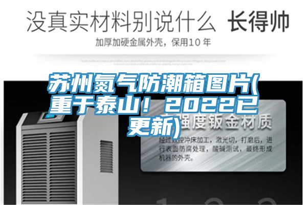 苏州氮气防潮箱图片(重于泰山！2022已更新)