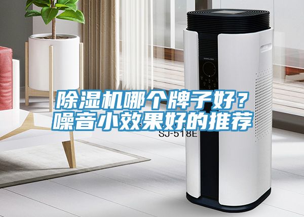 MR.好色破解版哪个牌子好？噪音小效果好的推荐