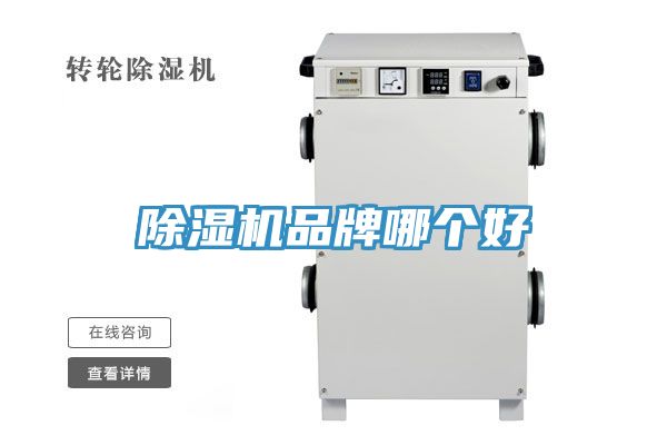 MR.好色破解版品牌哪个好