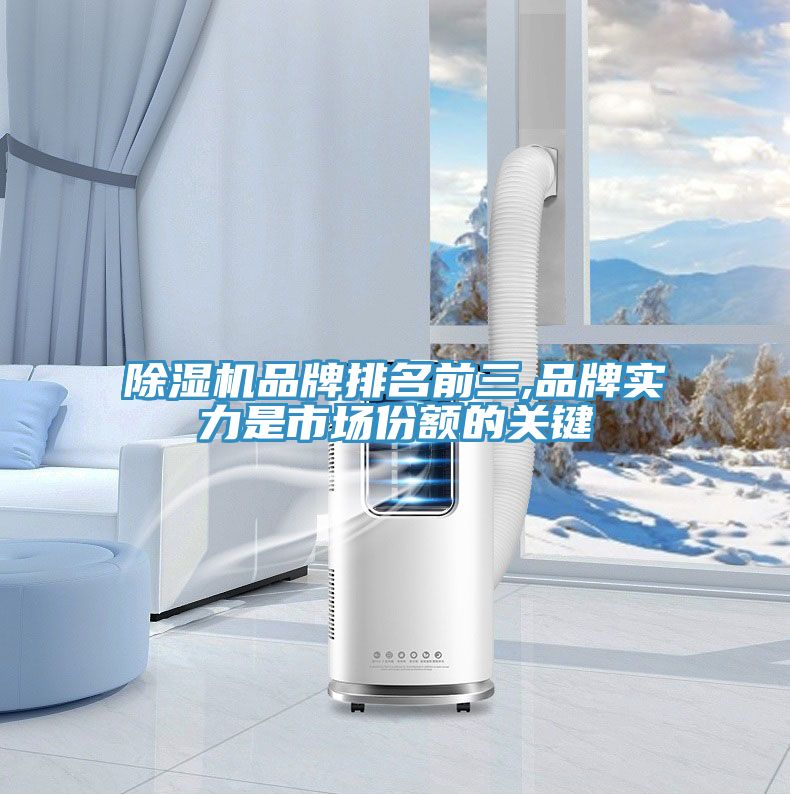 MR.好色破解版品牌排名前三,品牌实力是市场份额的关键