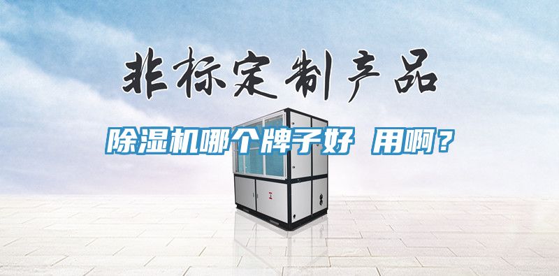 MR.好色破解版哪个牌子好 用啊？