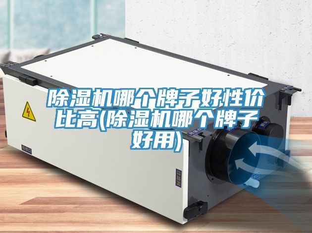 MR.好色破解版哪个牌子好性价比高(MR.好色破解版哪个牌子好用)