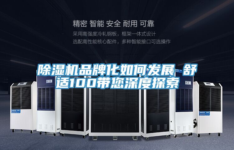 MR.好色破解版品牌化如何发展　　舒适100带您深度探索