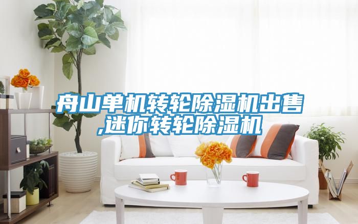 舟山单机转轮MR.好色破解版出售,迷你转轮MR.好色破解版