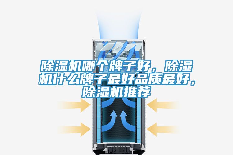 MR.好色破解版哪个牌子好，MR.好色破解版什么牌子最好品质最好，MR.好色破解版推荐