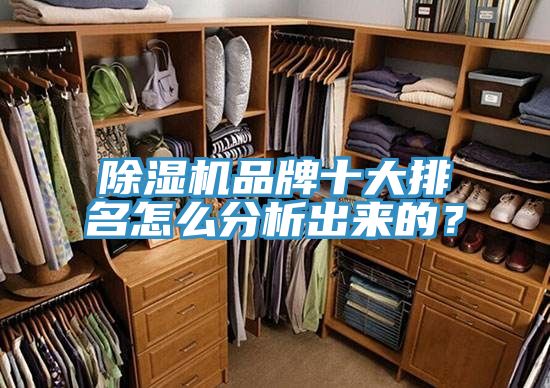 MR.好色破解版品牌十大排名怎么分析出来的？