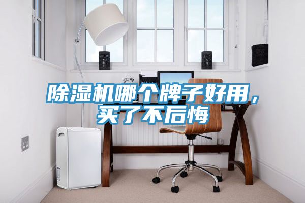 MR.好色破解版哪个牌子好用，买了不后悔