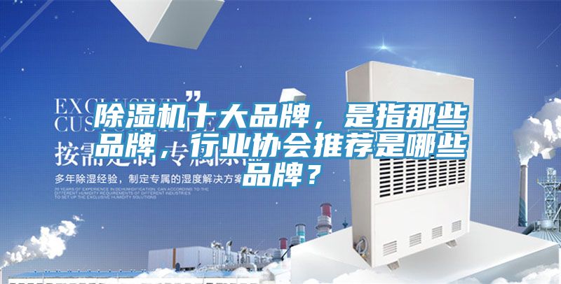 MR.好色破解版十大品牌，是指那些品牌，行业协会推荐是哪些品牌？