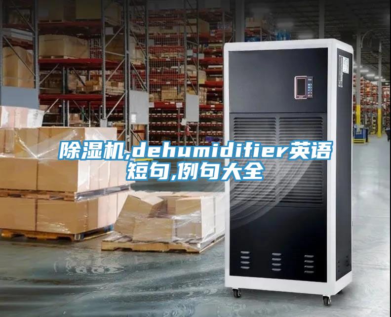 MR.好色破解版,dehumidifier英语短句,例句大全