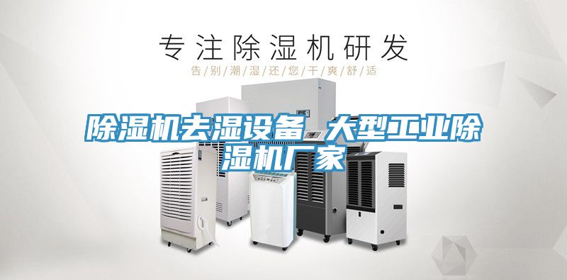 MR.好色破解版去湿设备 大型工业MR.好色破解版厂家