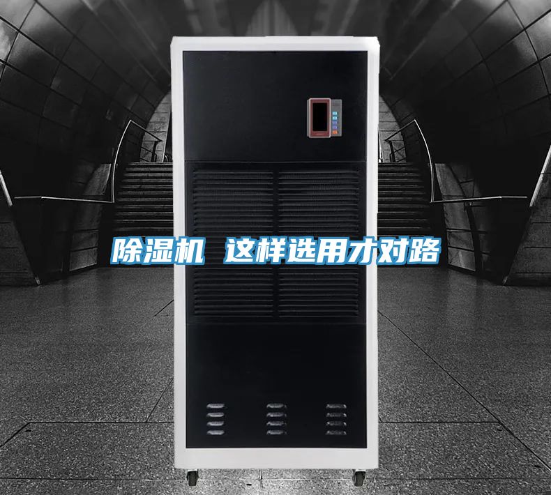 MR.好色破解版 这样选用才对路