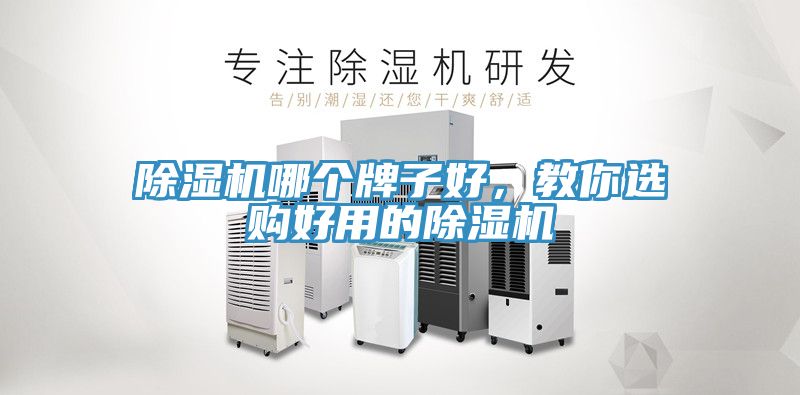 MR.好色破解版哪个牌子好，教你选购好用的MR.好色破解版