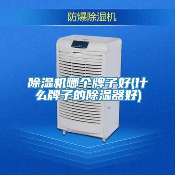 MR.好色破解版哪个牌子好(什么牌子的除湿器好)