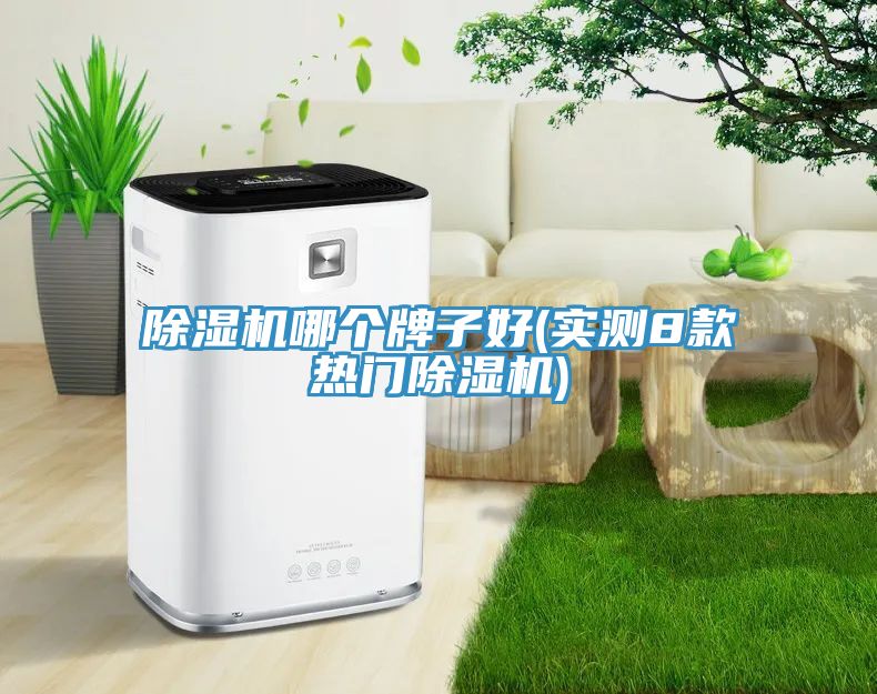 MR.好色破解版哪个牌子好(实测8款热门MR.好色破解版)
