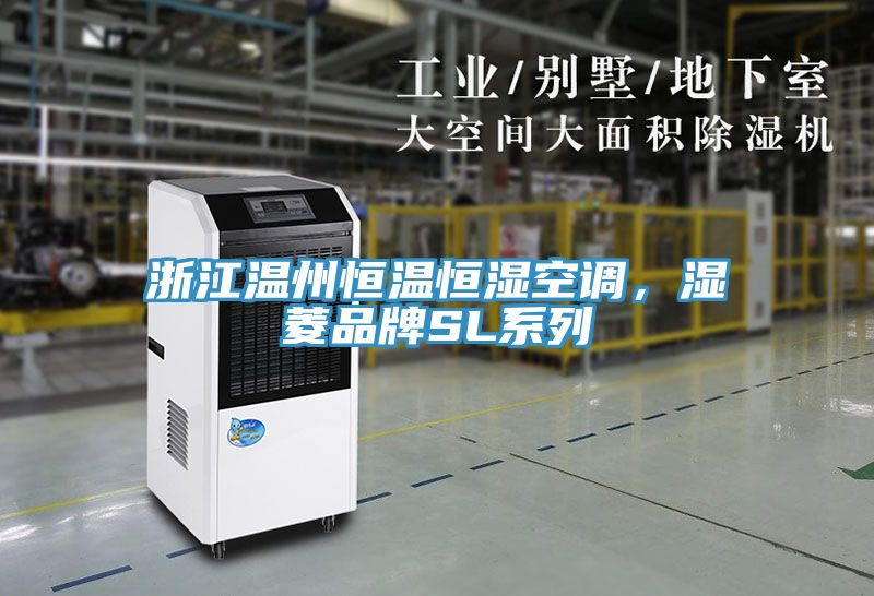 浙江温州恒温恒湿空调，湿菱品牌SL系列