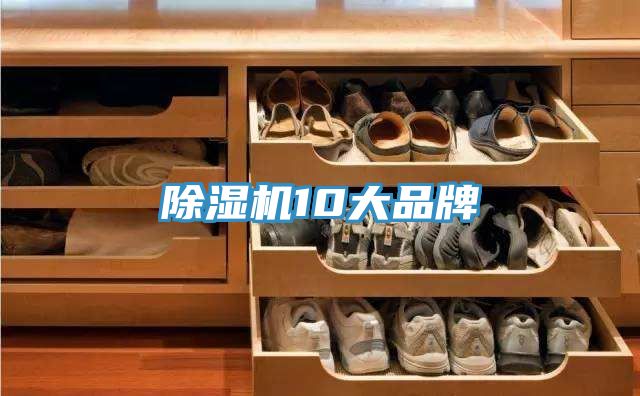 MR.好色破解版10大品牌