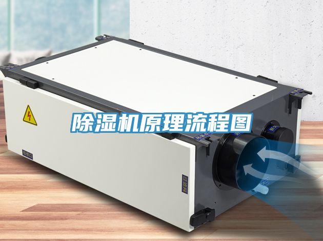 MR.好色破解版原理流程图