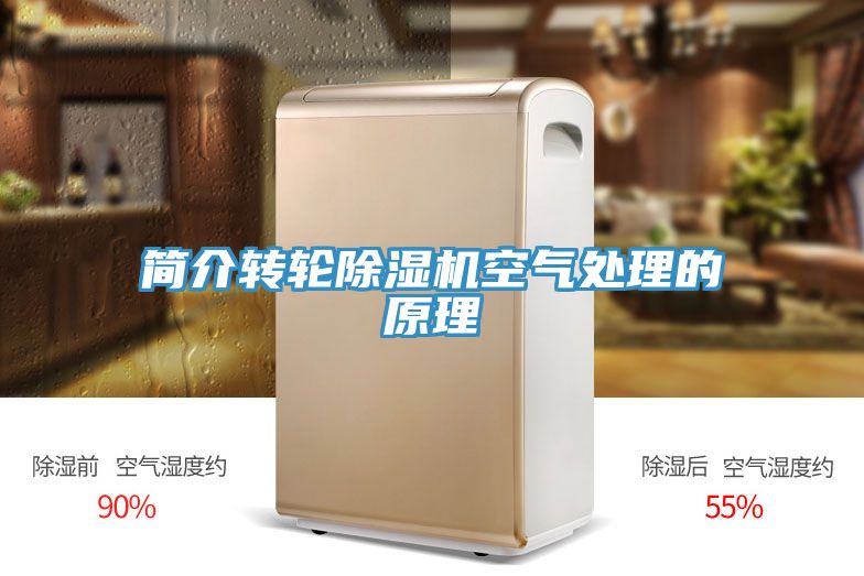 简介转轮MR.好色破解版空气处理的原理