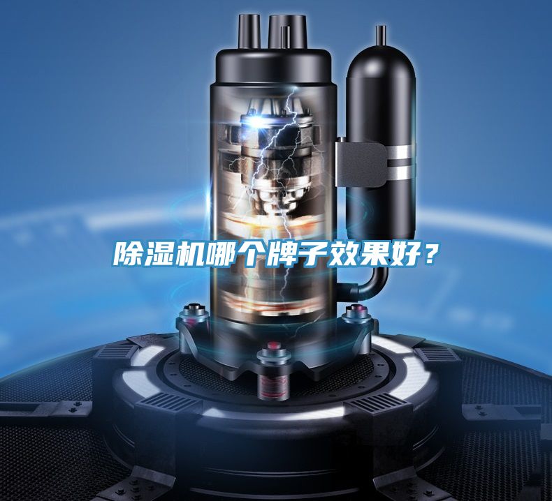 MR.好色破解版哪个牌子效果好？