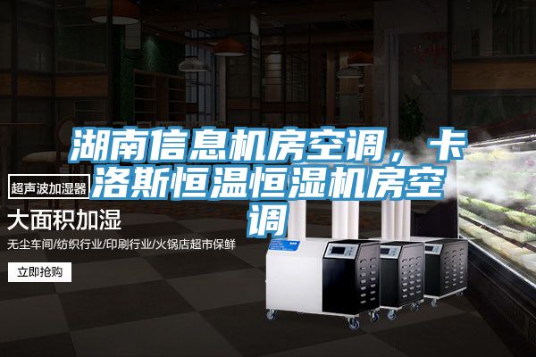 湖南信息机房空调，卡洛斯恒温恒湿机房空调