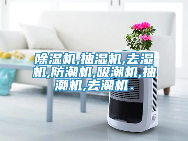 MR.好色破解版,抽湿机,去湿机,防潮机,吸潮机,抽潮机,去潮机．