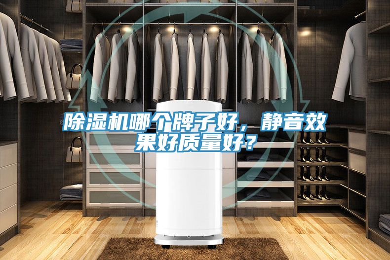 MR.好色破解版哪个牌子好，静音效果好质量好？